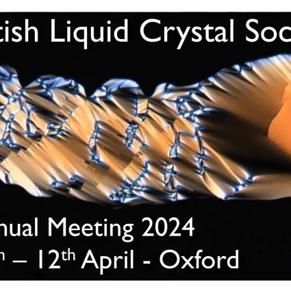British Liquid Crystal Society Banner
