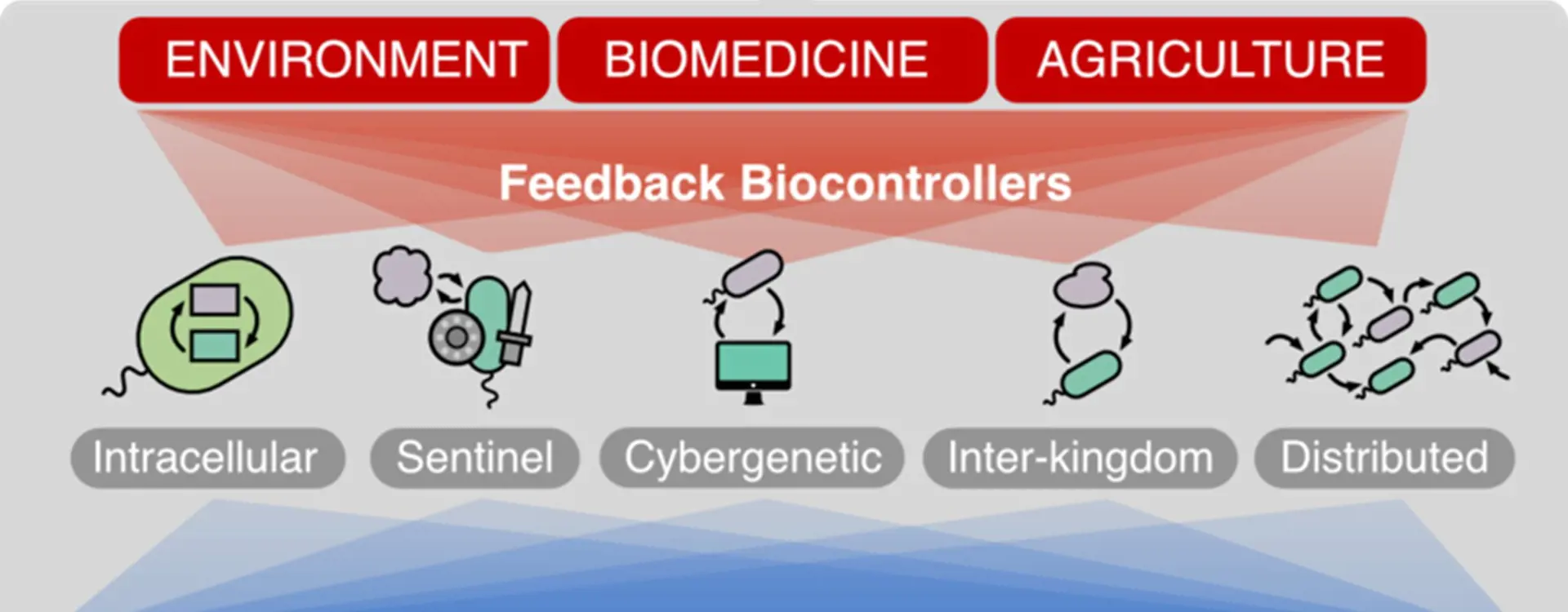 Biocontrollers will allow researchers and innovators to harness the full potential of engineered biology in various applications