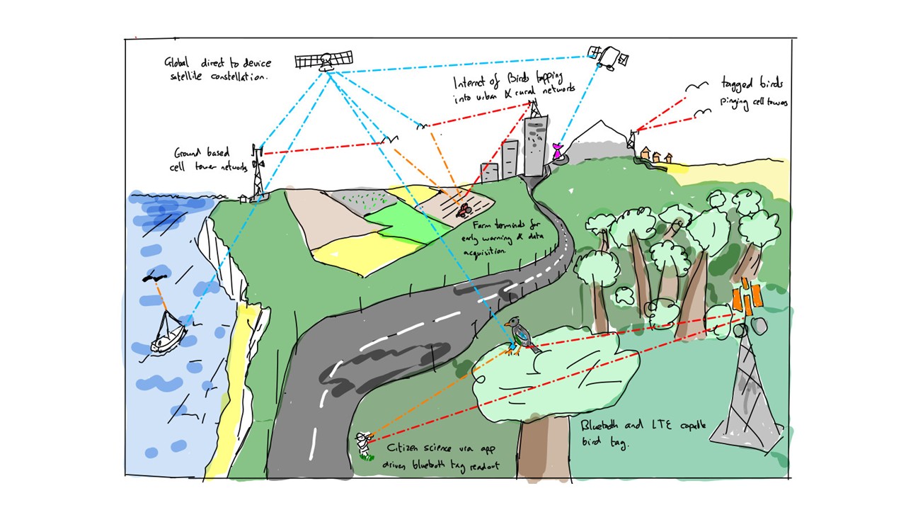 Infographic showing how the technology works. The new project will develop bird leg-rings that are small, light, inexpensive, solar powered and continuously globally tracked