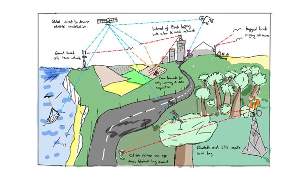 Oxford researchers awarded ARIA funding to develop an ‘Internet of Birds.’