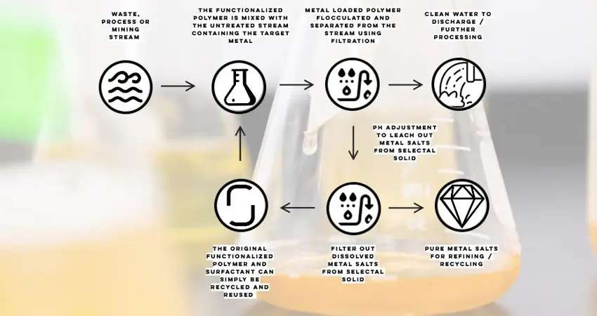 The SELECTAL Process