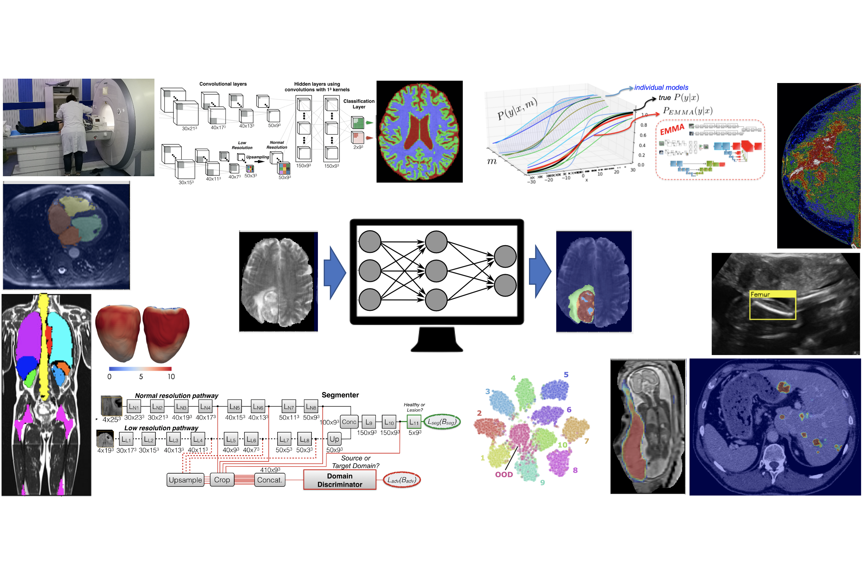 Biomedical Image Analysis