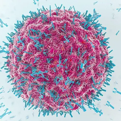 Image Credit: ShutterStock/Christoph Burgstedt