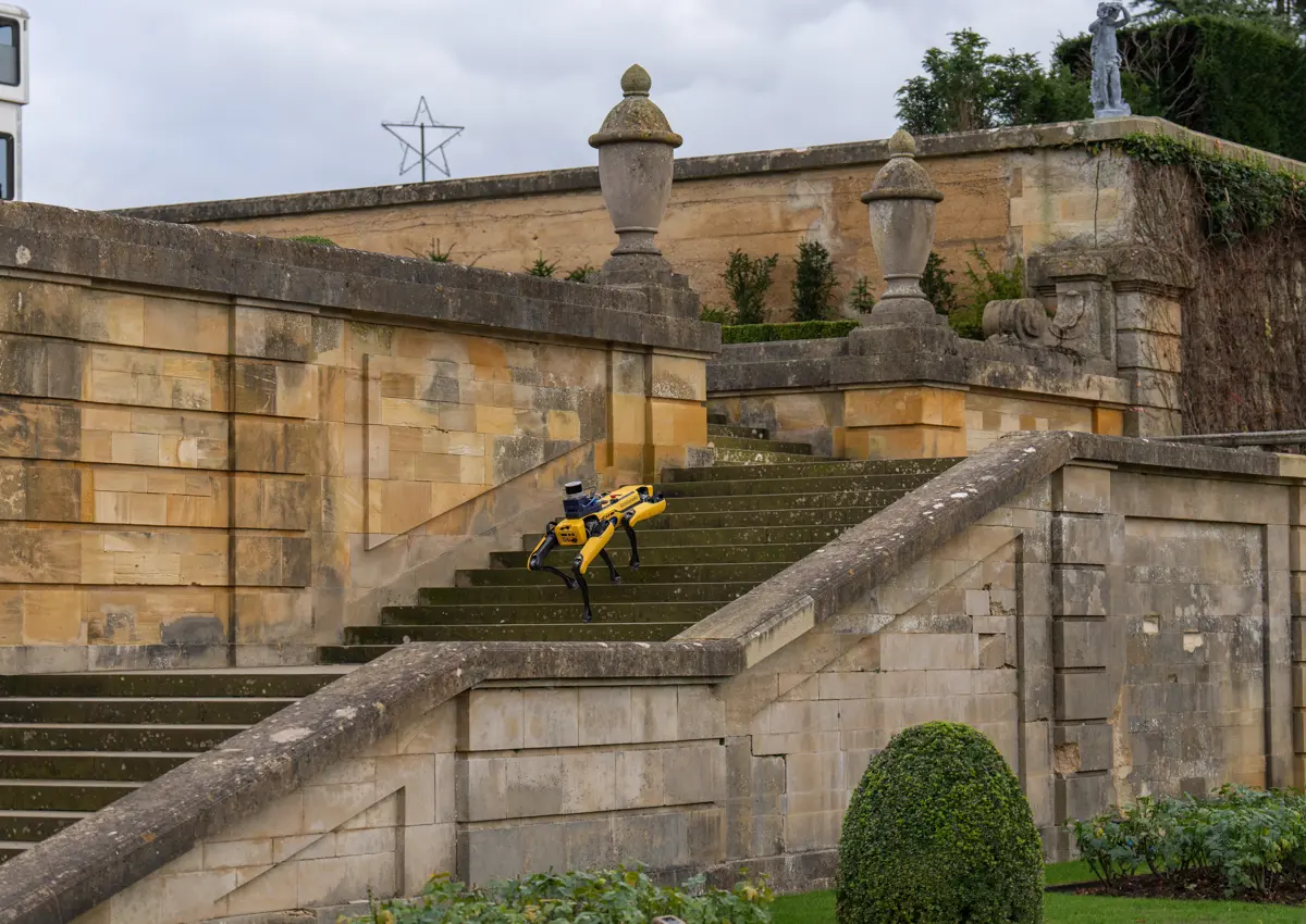 Species diversity project, courtesy of Blenheim Palace