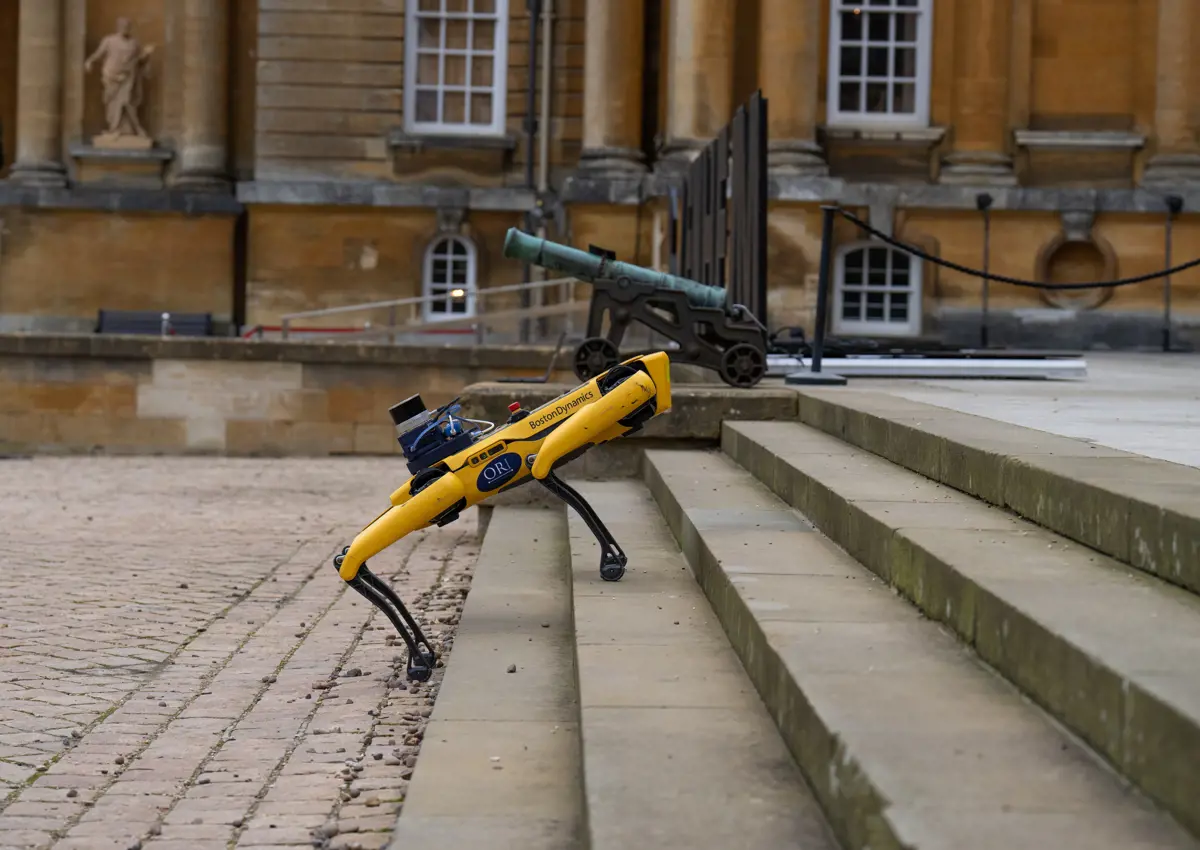 Species diversity project, courtesy of Blenheim Palace
