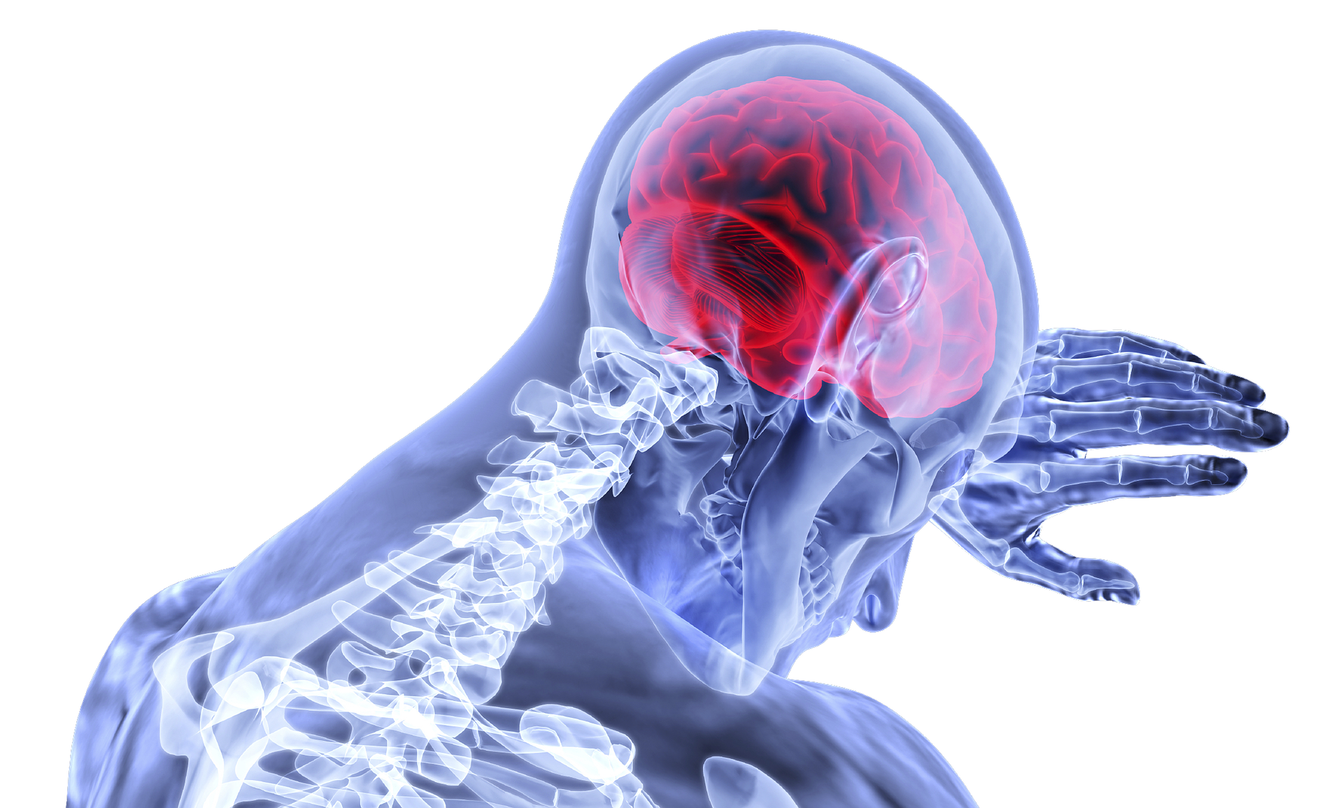 X-ray style image of person leaning with brain and skeleton visible