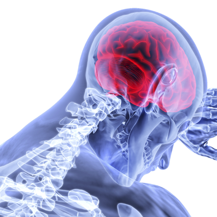 X-ray style image of person leaning with brain and skeleton visible