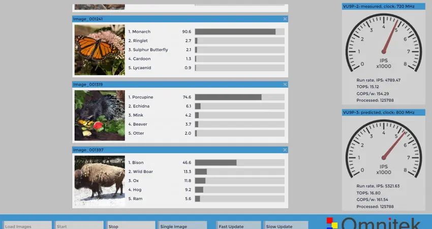 Screenshot showing Deep Learning being used to identify images of three species: a butterfly, a porcupine and a bison