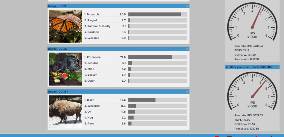 Screenshot showing Deep Learning being used to identify images of three species: a butterfly, a porcupine and a bison