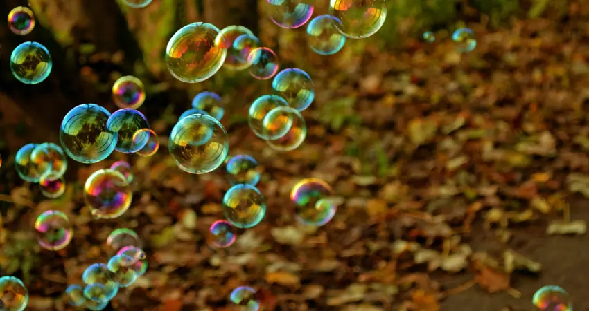 Lots of soap bubbles, and the ground is covered in autumn leaves