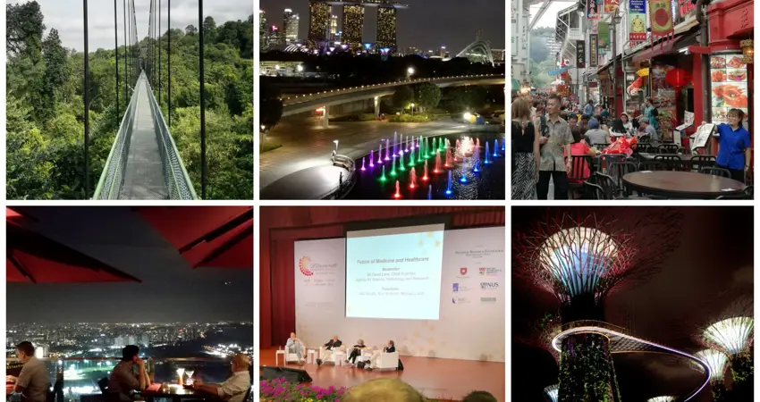Composite image of attractions in Singapore