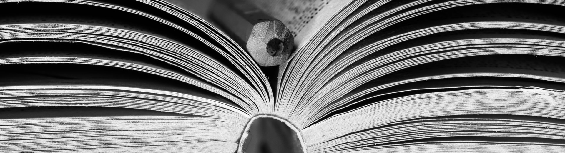 A close up of an open book with a pen resting in the middle along the spine