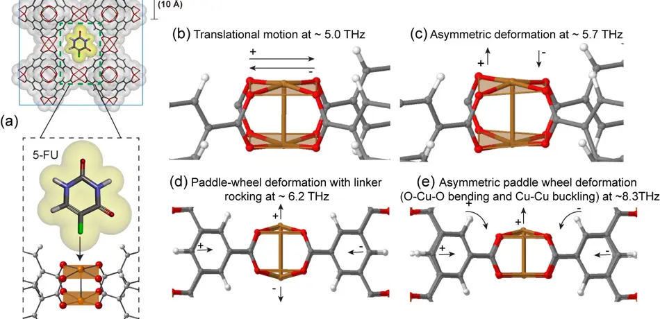 Schematic representation of guest–host interaction of 5-FU to the unsaturated metal sites located at the pore apertures of HKUST-1