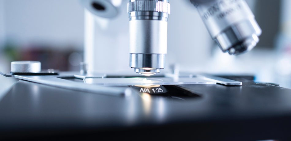 Microscope