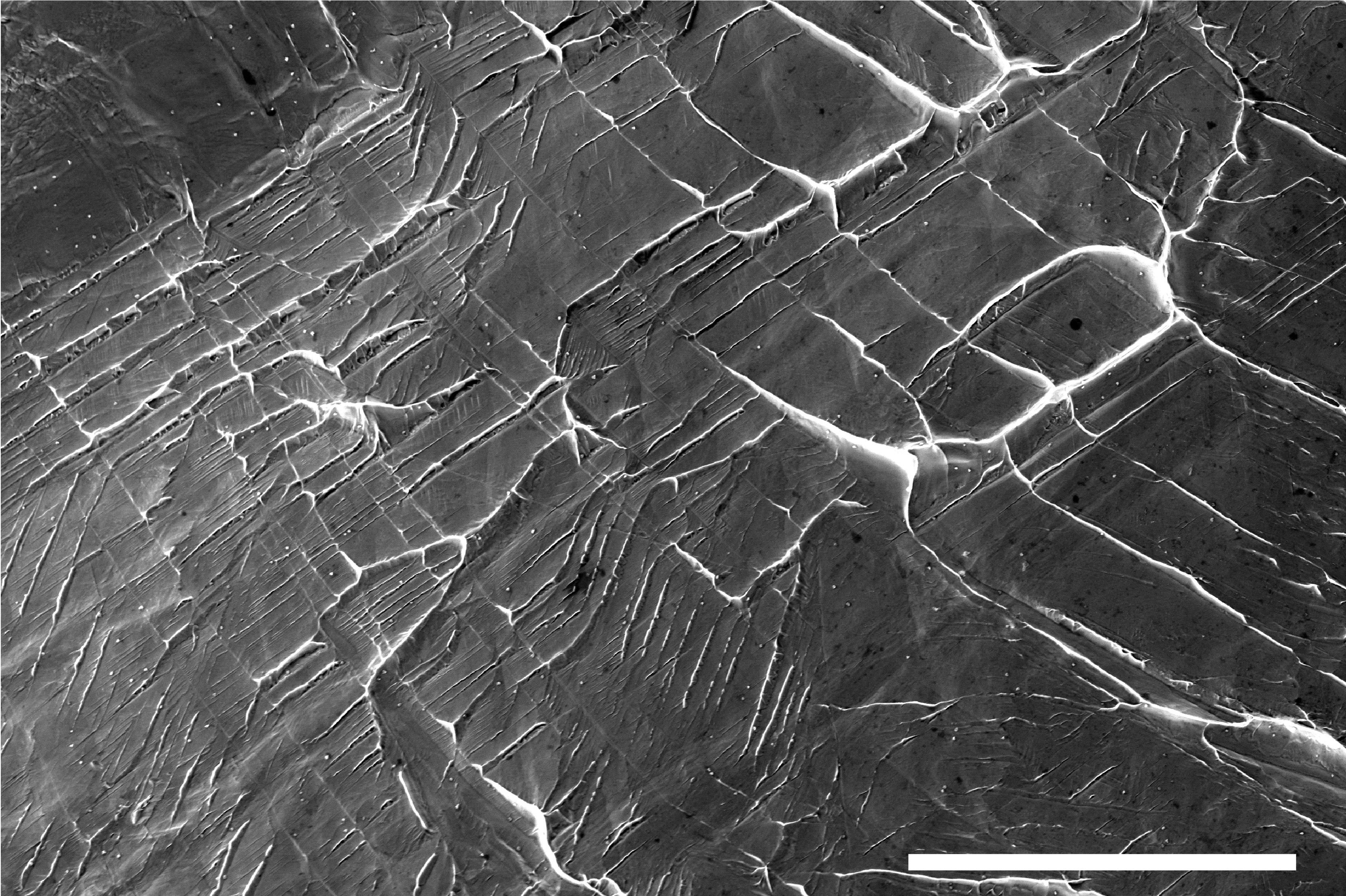 Electron microscopy image showing new defects forming between neighbouring crystals of the niobium-titanium-based alloys. Image credit: Cook et al. 2026