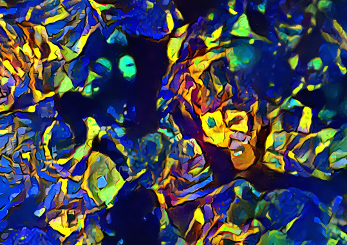 Google DeepDream used on cell images by Dr Heba Sailem