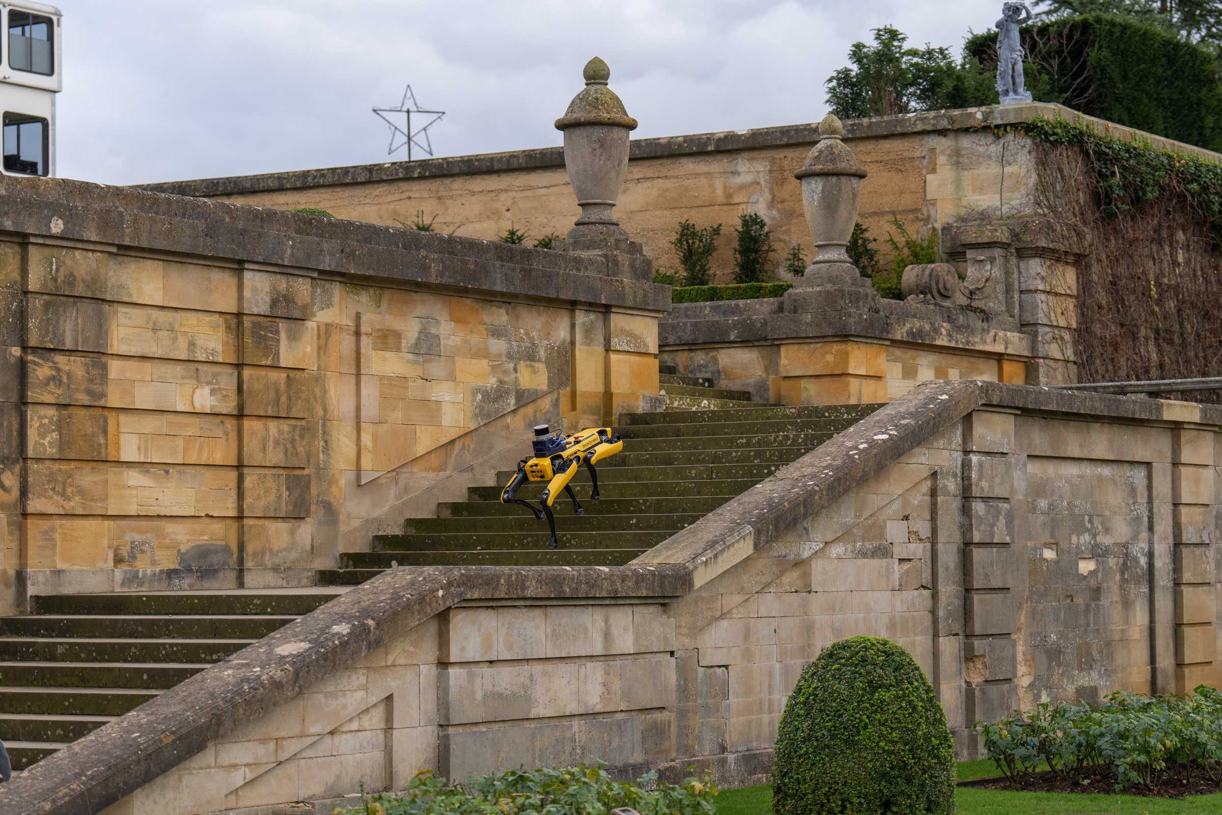 Species diversity project, courtesy of Blenheim Palace