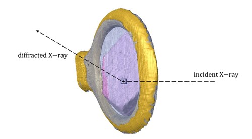 Sketch showing how ray-tracing method is used to simulate X-ray diffraction when it hits a crystal (Lu Y et al.). A yellow loop holds the crystal, taking it from the solution and placing it under the X-ray beam.