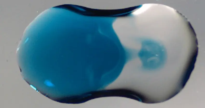 A jet forms between two droplets as they combine.