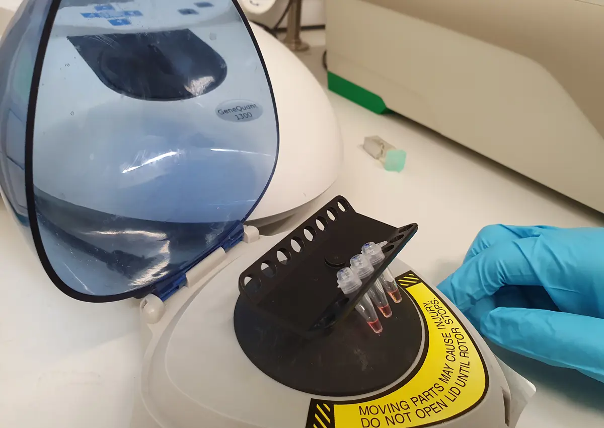 The rapid COVID-19 test uses a simple heat-block which maintains a constant temperature for RNA reverse transcription and DNA amplification