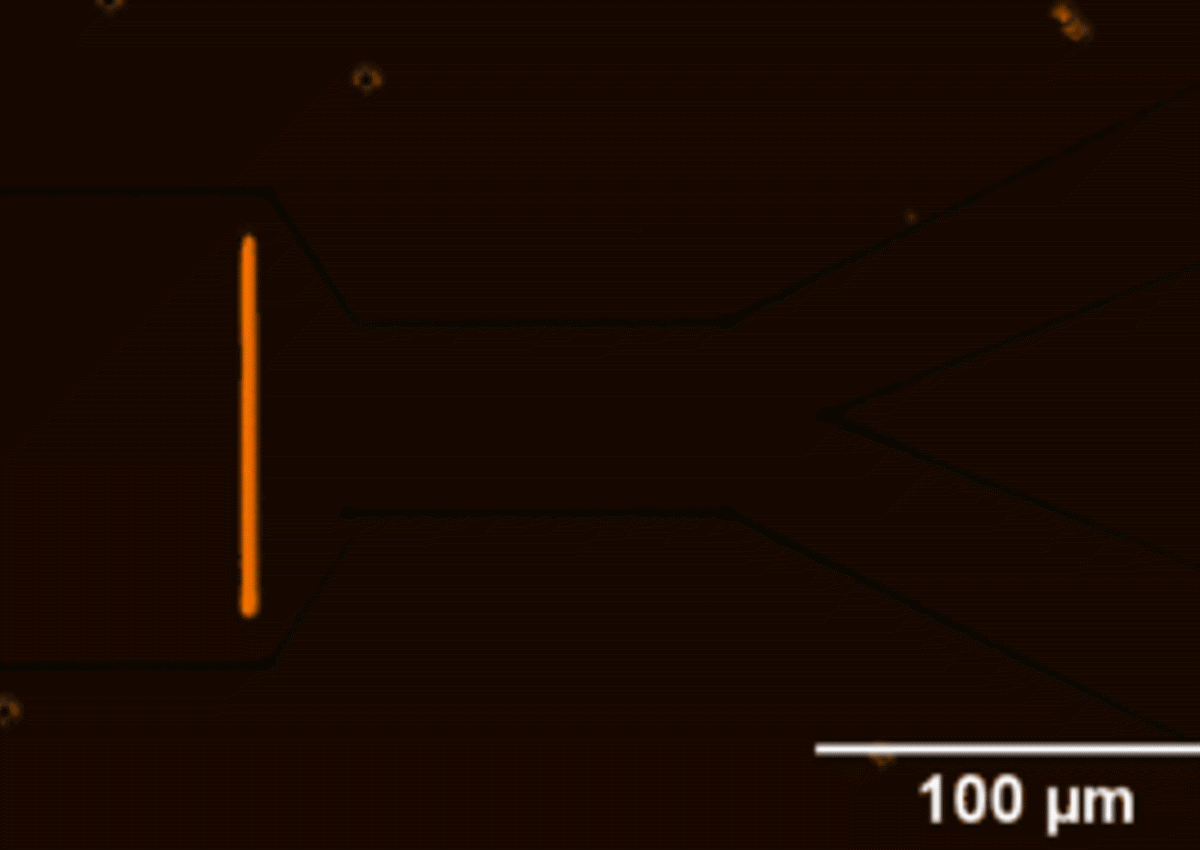 Gif of defect confinement channels created with direct laser writing