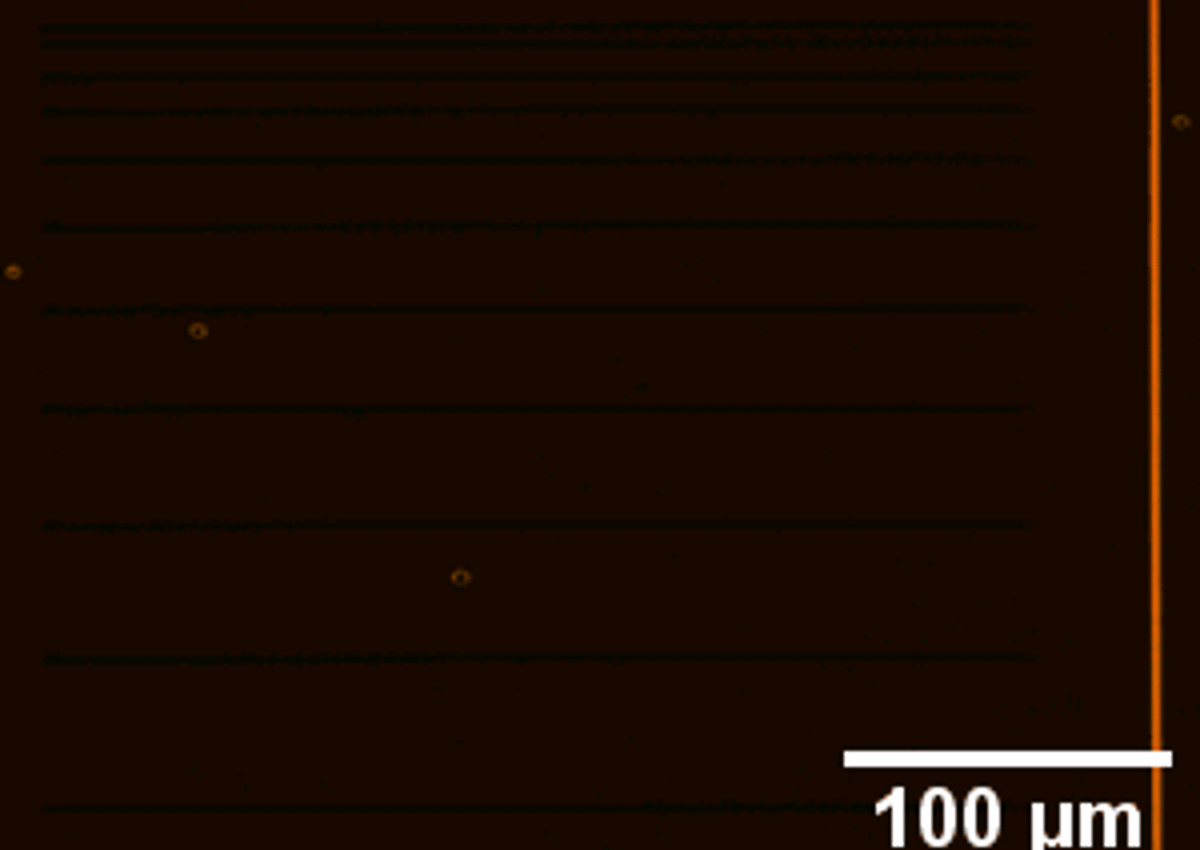 Gif of defect confinement channels created with direct laser writing