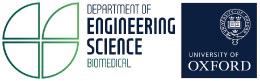 Institute of Biomedical Engineering Logo