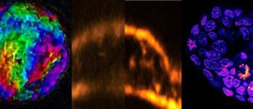 Collage of abstract looking science images