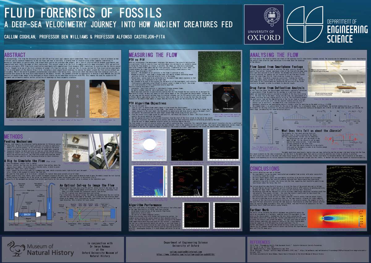 Poster of Fluid Forensics of Fossils, for illustration only