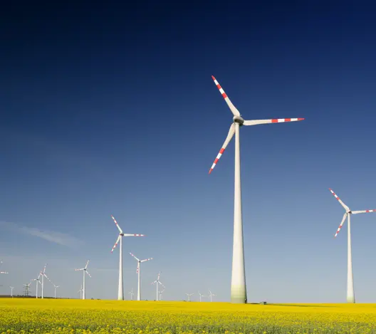 Wind turbines in field