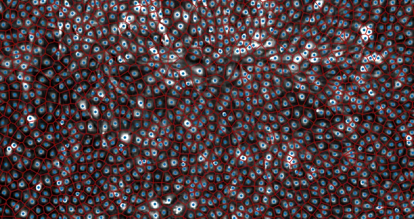 Network of biological cells