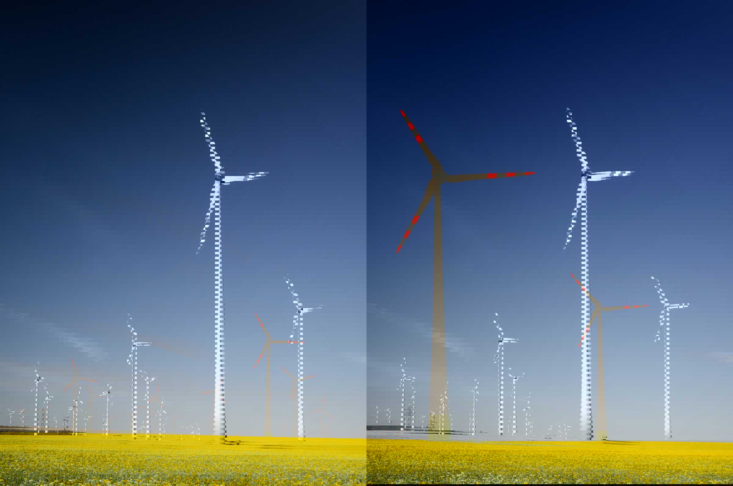 Wind turbines in field