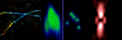 Biological Microscopy