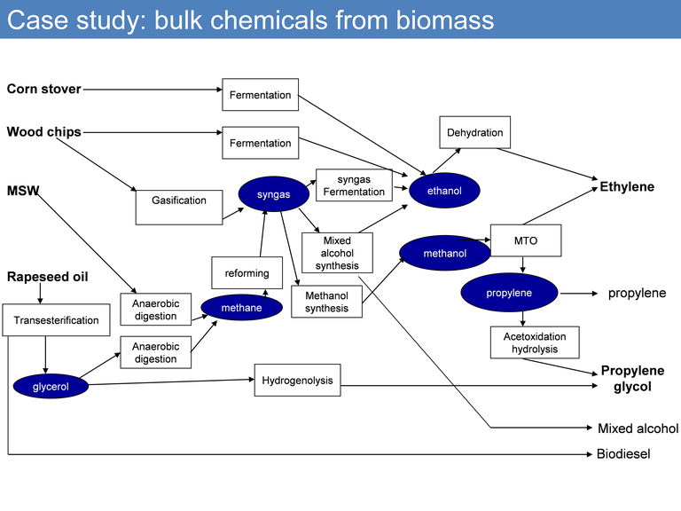 Case Study Bulk Chemicals From Biomass