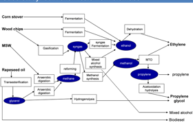 Case Study Bulk Chemicals From Biomass