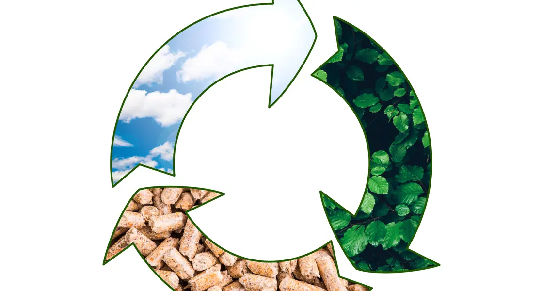 Biowaste system