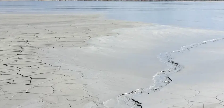 photo of beach