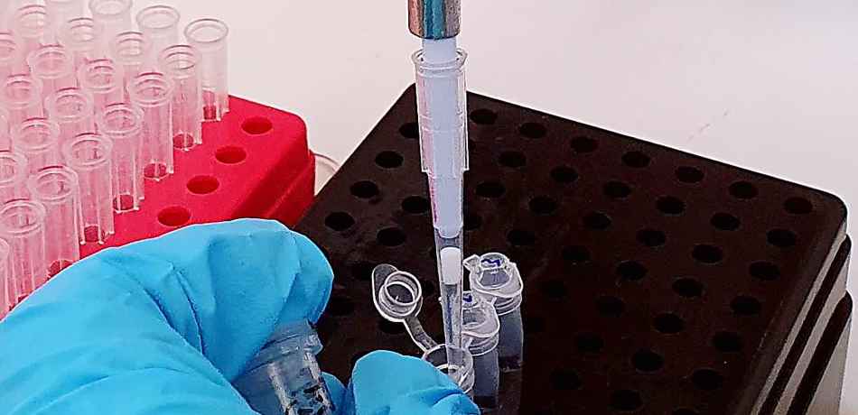 Scientist in lab