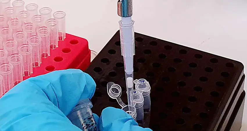 Scientist in lab