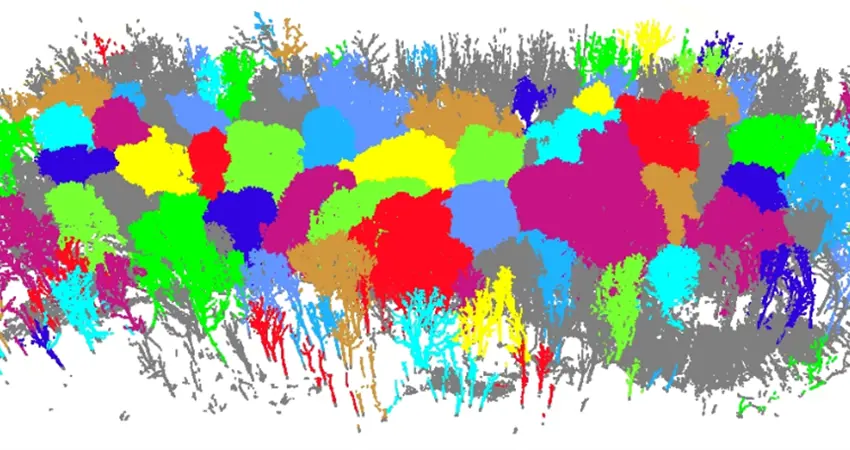 Terrestrial LiDAR scan of Wytham Woods, as seen in LiDAR360.