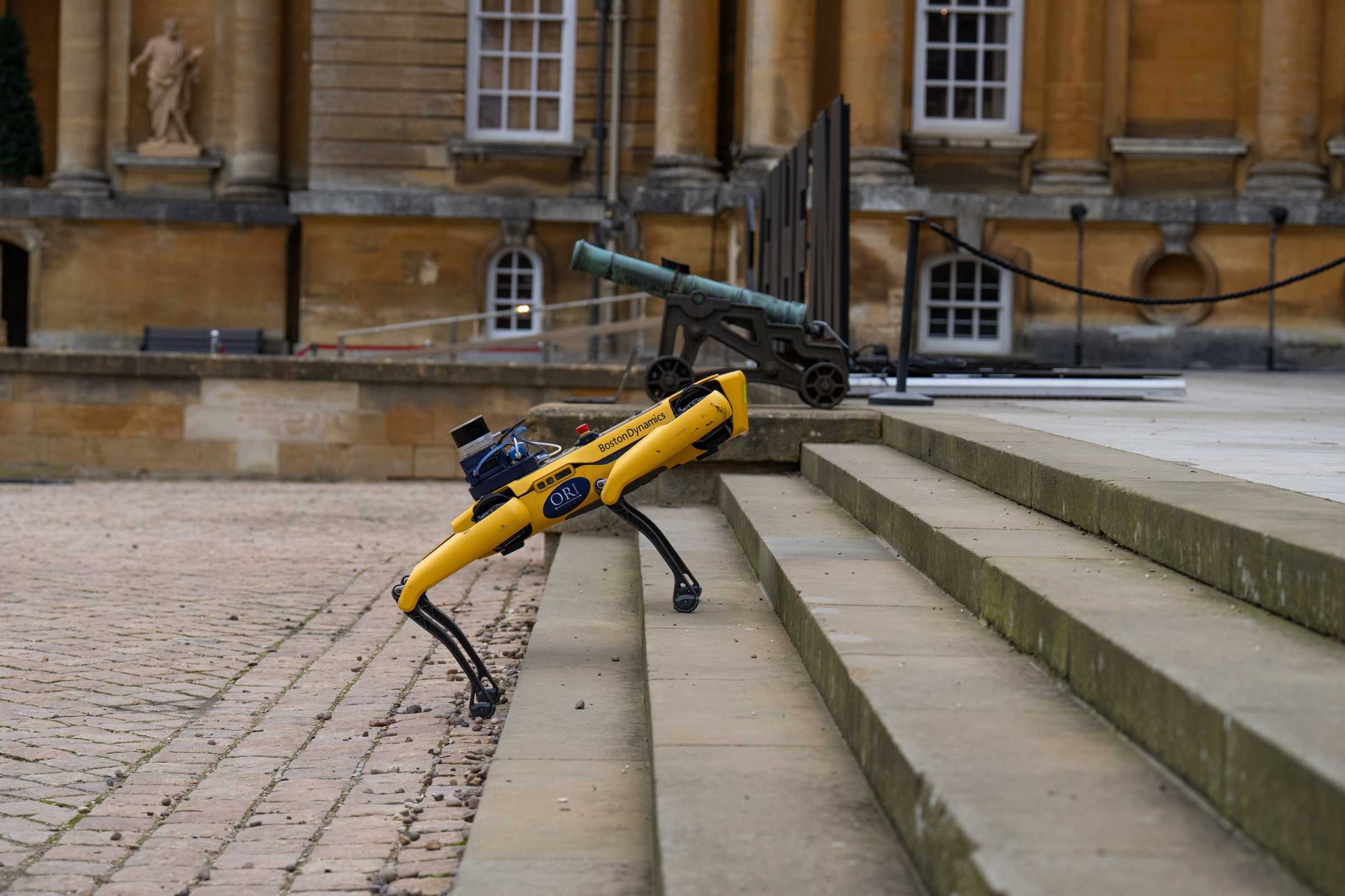 Species diversity project, courtesy of Blenheim Palace