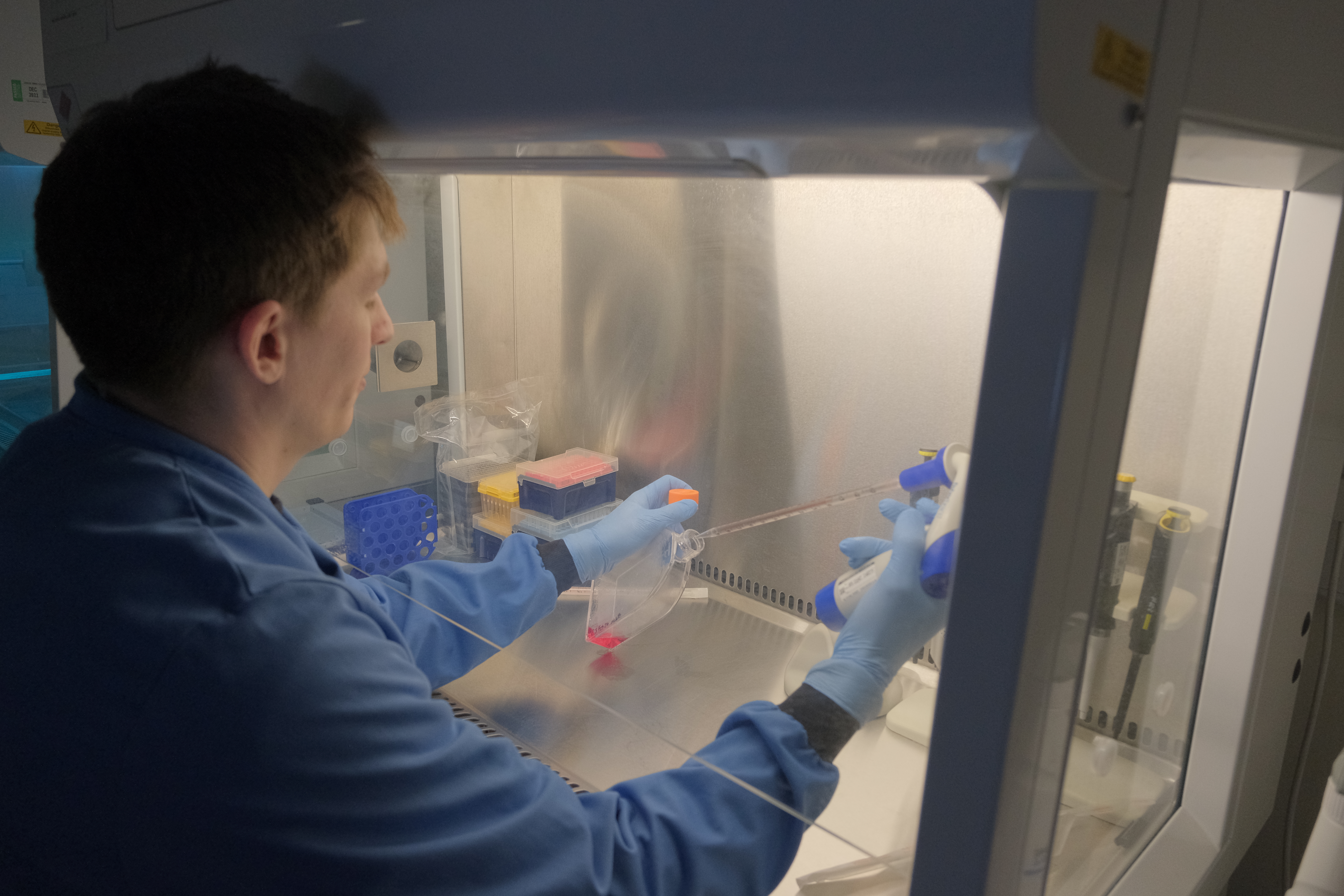 Matthew working in lab