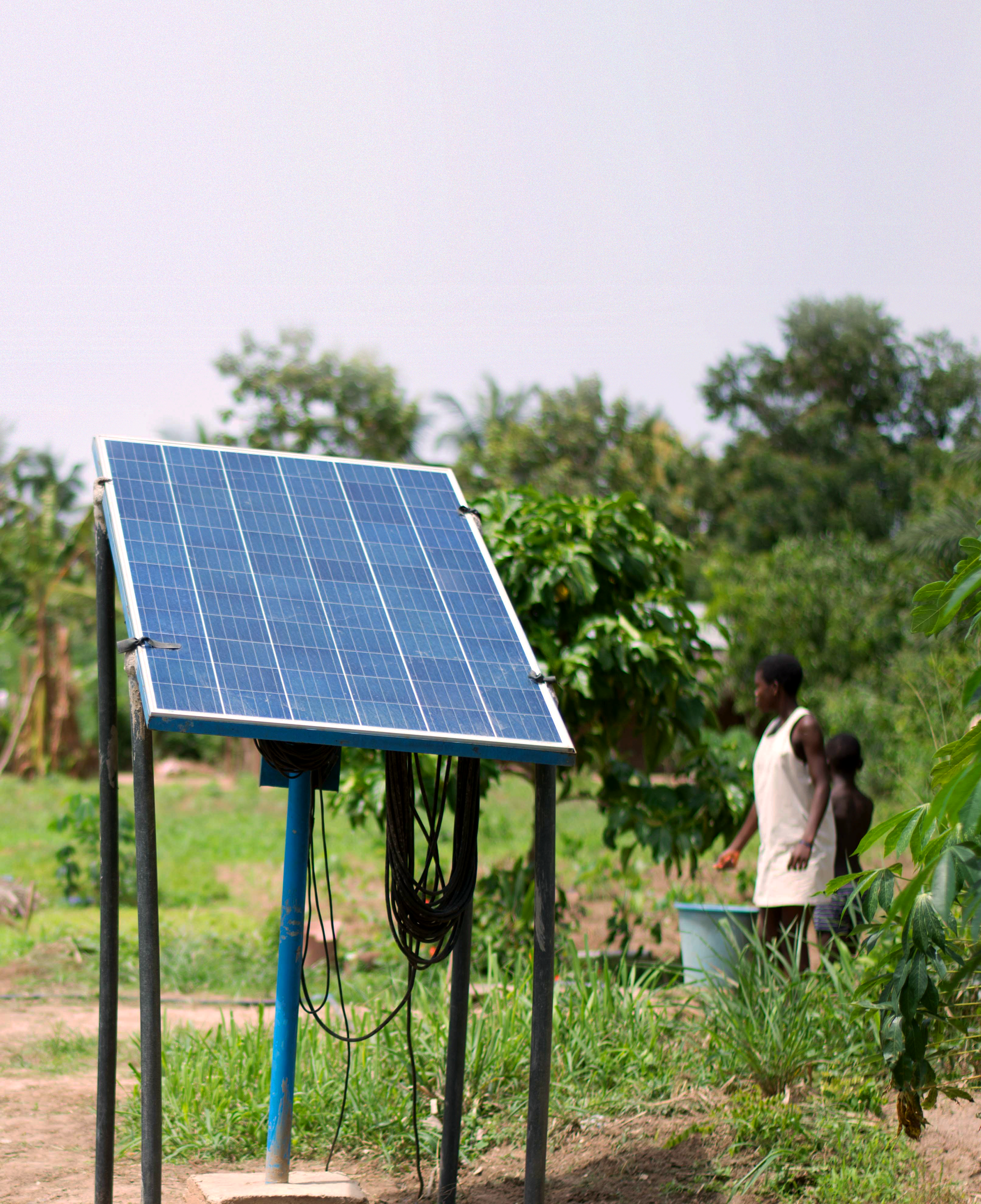 Photograph showing solar PV panel used in an agricultural context (e.g. for irrigation)