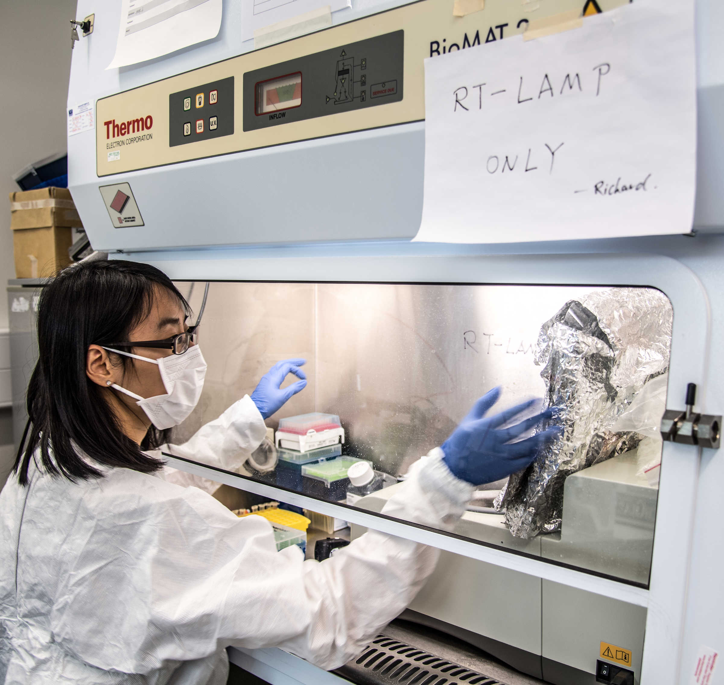 Researcher in the lab working on rapid Covid-19 test