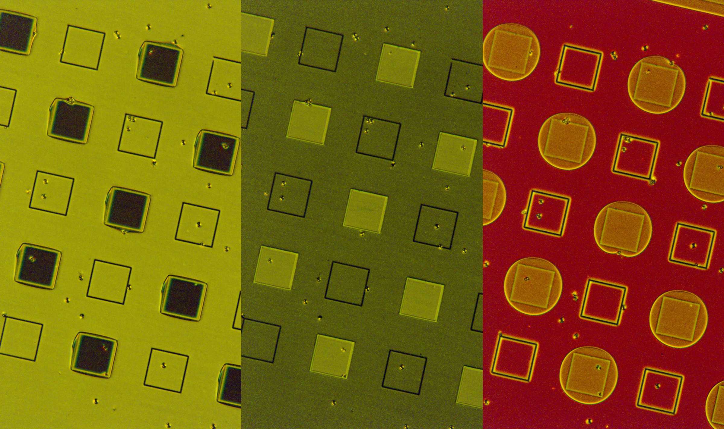 A laser engineered liquid crystal device being switched by an applied voltage