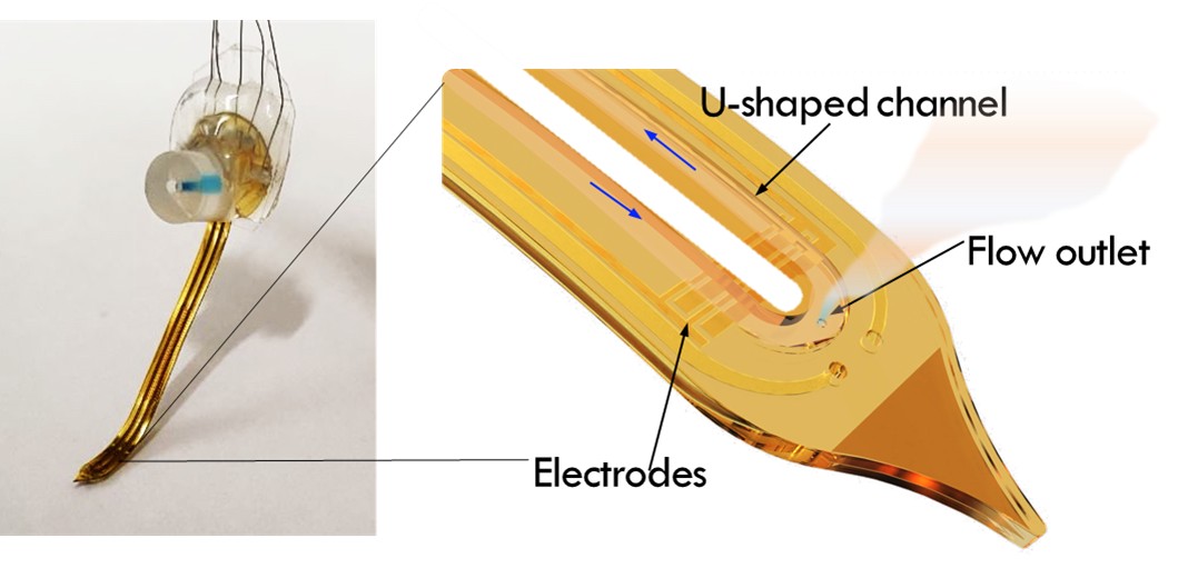 Photo and graphic showing a microfluidic implant used to deliver drugs to a patient