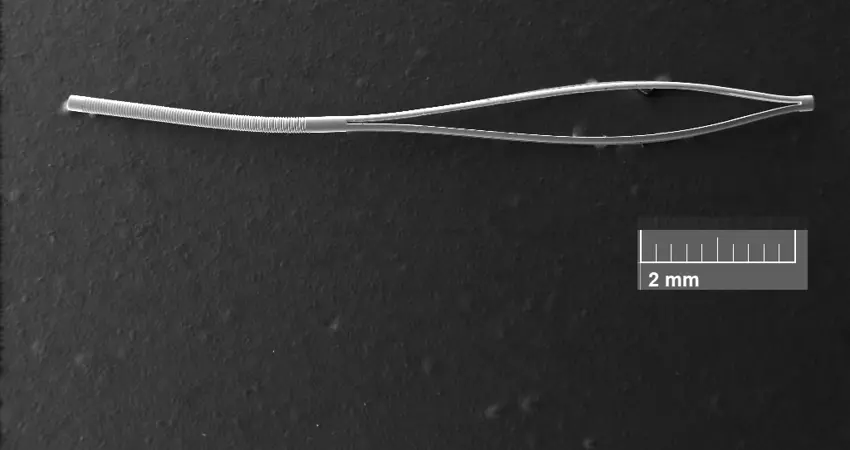 Scanning electronic microscopy image of a deployable microstent sample.