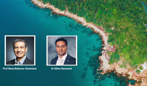 CaribOx Visiting Fellowship will start application of green ammonia models and tools to small island developing states