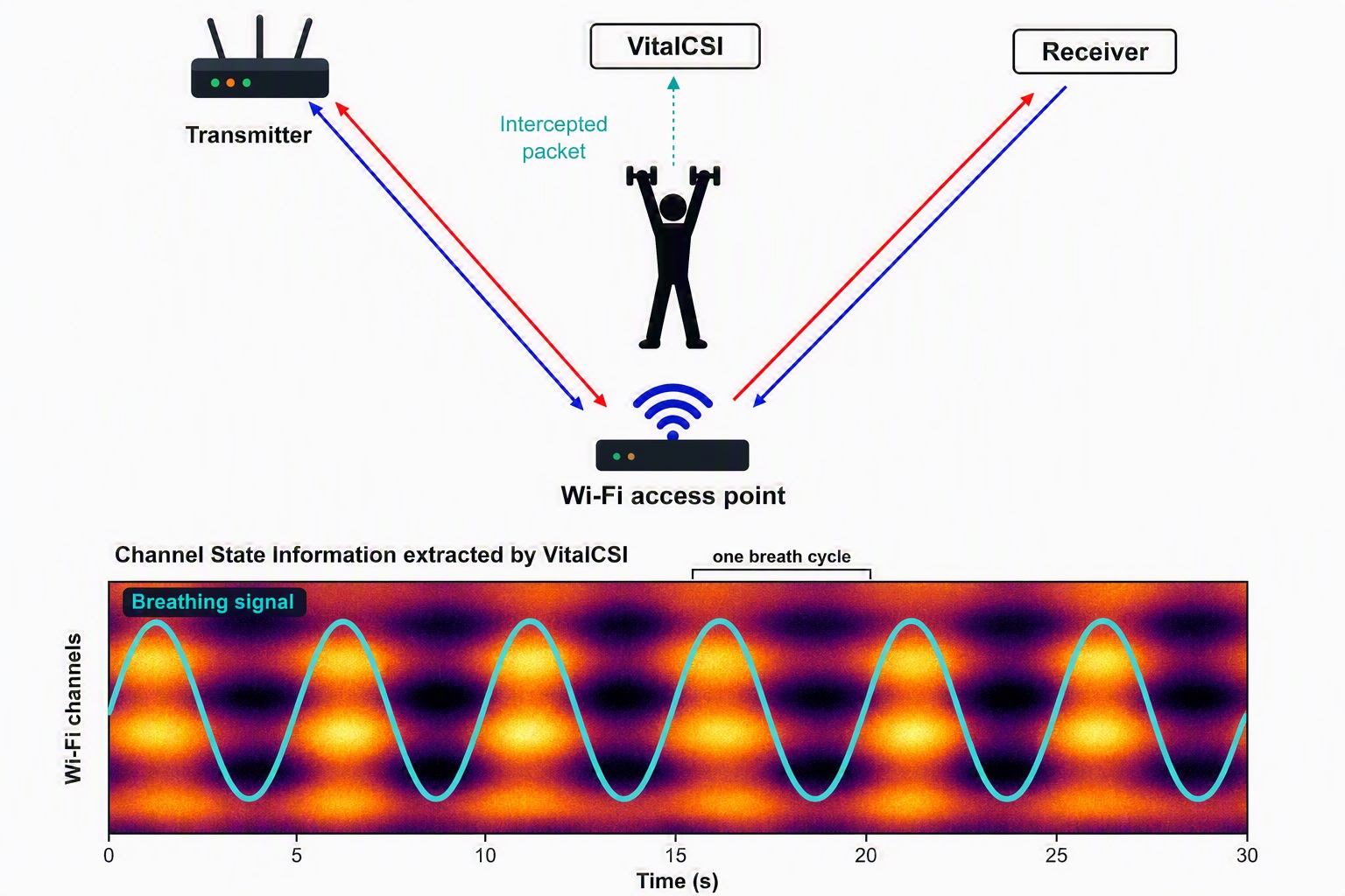 VitalCSI runs entirely on off-the-shelf hardware: a standard consumer Wi-Fi access point and a Raspberry Pi single-board computer
