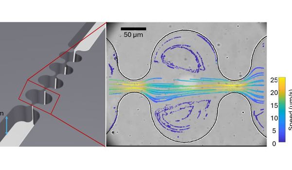 Investigating the behaviour of polymer support fluids for civil-engineering applications